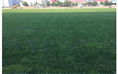 秦皇島國家足球訓練基地