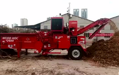 珠海市 臺風災(zāi)后清理